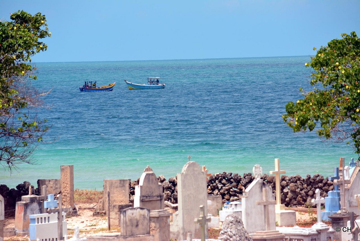 Delft Island Tour